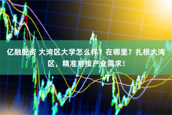 亿融配资 大湾区大学怎么样？在哪里？扎根大湾区，精准对接产业需求！