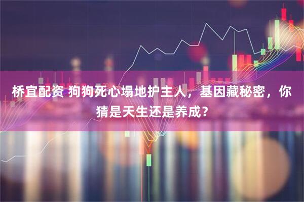 桥宜配资 狗狗死心塌地护主人，基因藏秘密，你猜是天生还是养成？