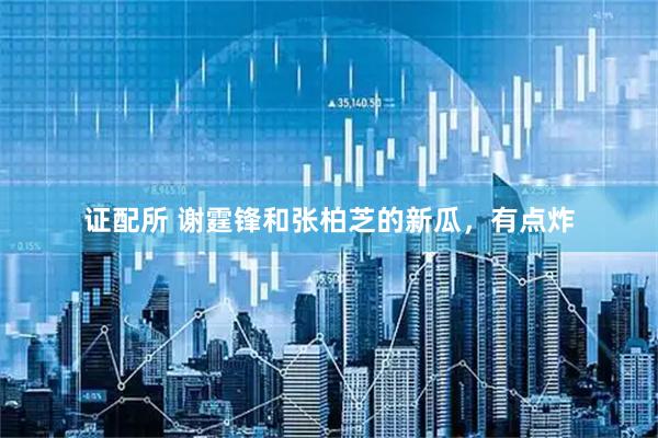 证配所 谢霆锋和张柏芝的新瓜，有点炸