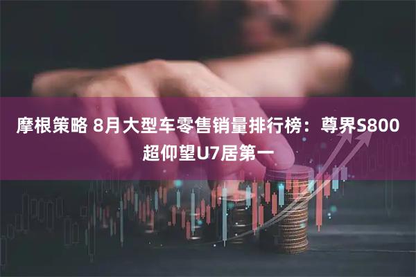 摩根策略 8月大型车零售销量排行榜：尊界S800超仰望U7居第一