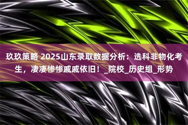 玖玖策略 2025山东录取数据分析：选科非物化考生，凄凄惨惨戚戚依旧！_院校_历史组_形势
