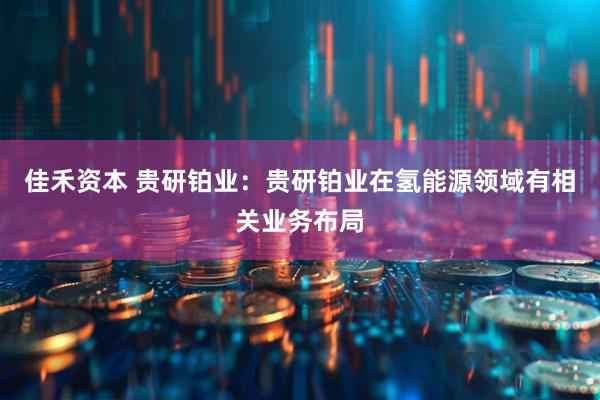 佳禾资本 贵研铂业：贵研铂业在氢能源领域有相关业务布局