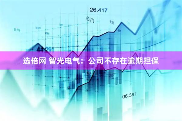 选倍网 智光电气：公司不存在逾期担保